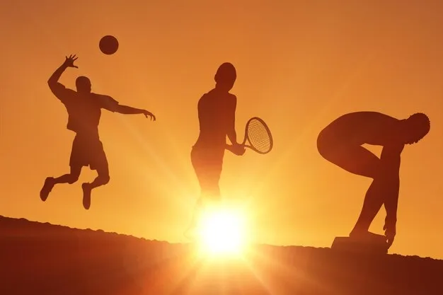 K体育中心官网APP界面示意